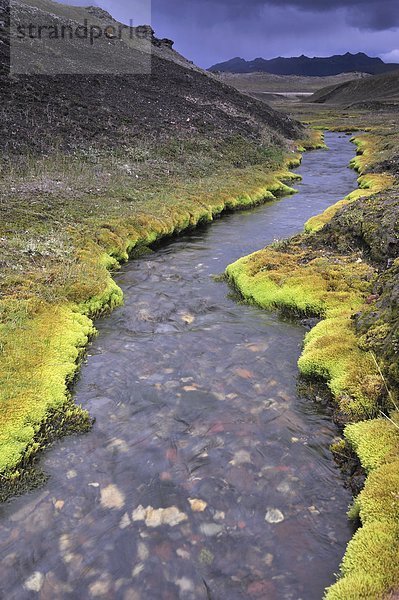 Ansicht des Creek durch Landschaft