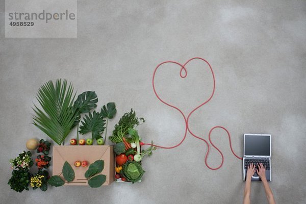 Laptop und Gemüse über Stromkabel auf grauem Hintergrund verbunden