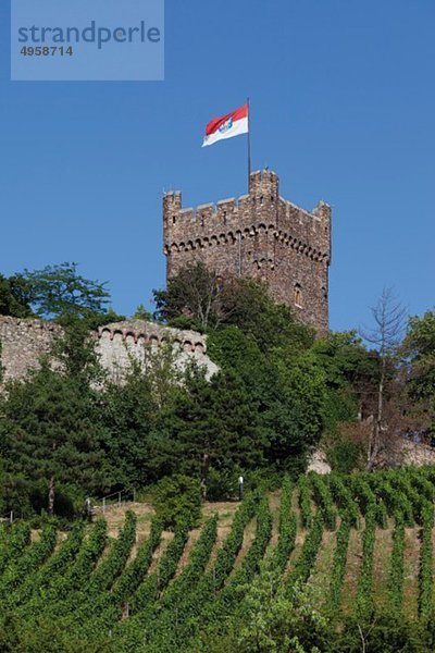 Europa  Deutschland  Rheinland-Pfalz  Bingen  Blick auf Schloss klopp