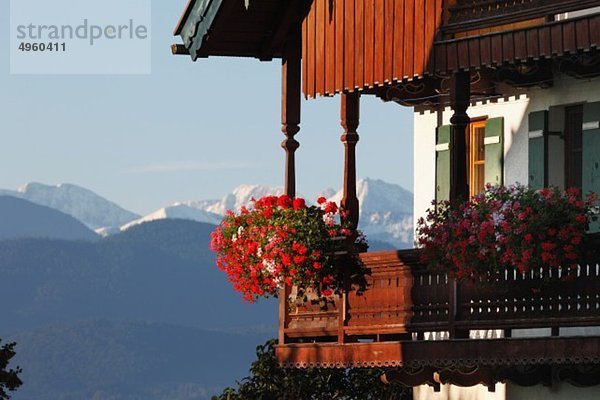 Deutschland  Bayern  Oberbayern  Balkon des Landhauses mit Kranichschnabel