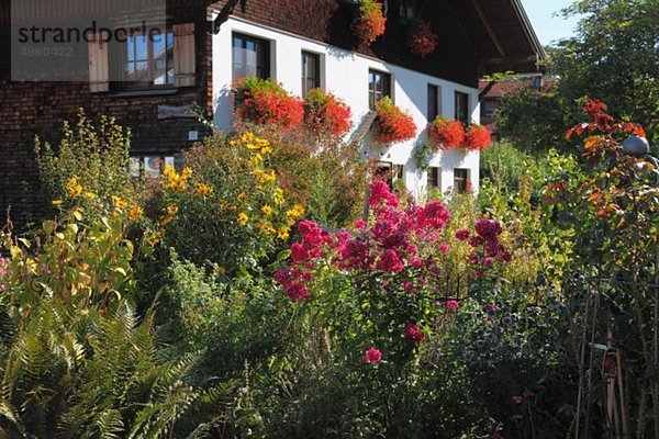 Deutschland  Bayern  Schwaben  Schwaben  Allgäu  Ostallgau  Blick auf den Hausgarten