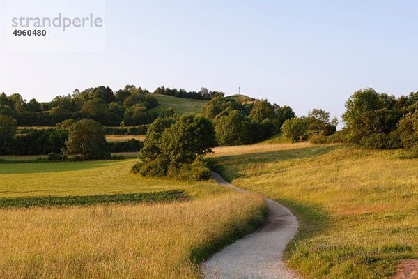 Deutschland  Bayern  Franken  Blick auf das Naturschutzgebiet Ehrenbürg