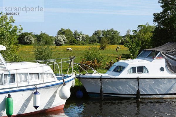 Irland  Provinz Leinster  County Offaly  Blick auf die im Hafen von Shannon vertäuten Boote