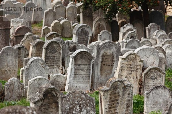 Österreich  Burgenland  Eisenstadt  Blick auf den jüdischen Friedhof