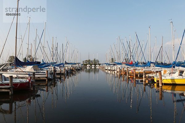 Österreich  Burgenland  Blick auf Marina mit Neusiedler See