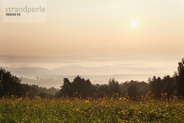 Österreich  Steiermark  Schilcherstrasse  Blick auf st. stefan ob stainz am Morgen