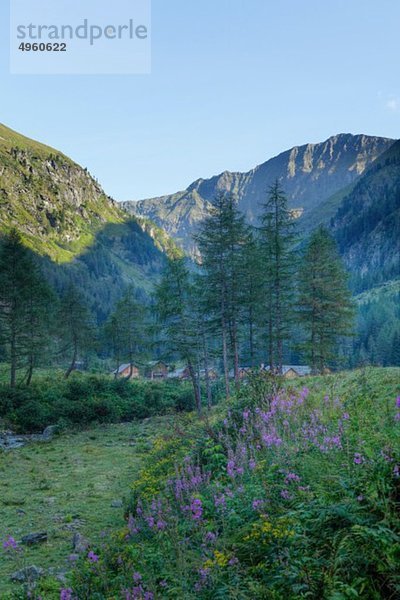 Österreich  Salzburg  Goeriach  Lungau  Blick auf das Dorf im Goeriachtal