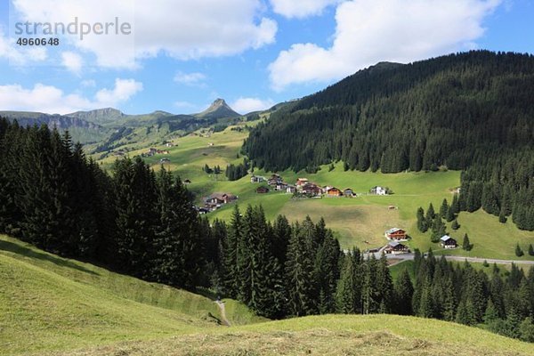 Österreich  Vorarlberg  Bregenzerwald  Blick auf die Berge