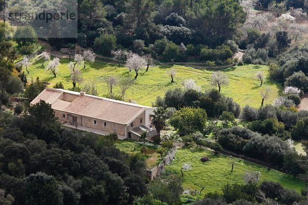 Spanien  Balearen  Mallorca  Blick auf puig de randa und blühende Mandelbäume