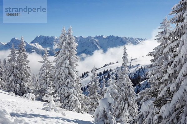 Deutschland  Bayern  Oberbayern  Garmisch-Partenkirchen  Blick auf schneebedeckten Wank mit Feuchtsteingebirge