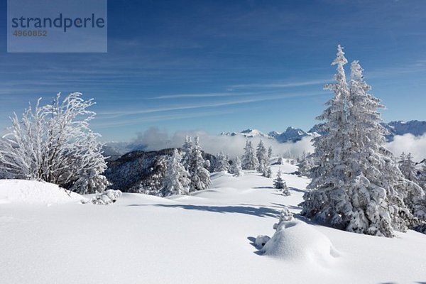 Deutschland  Bayern  Oberbayern  Garmisch-Partenkirchen  Blick auf schneebedeckte Berge