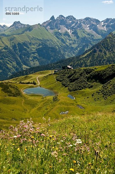 Deutschland  Bayern  Blick auf die Allgäuer Alpen