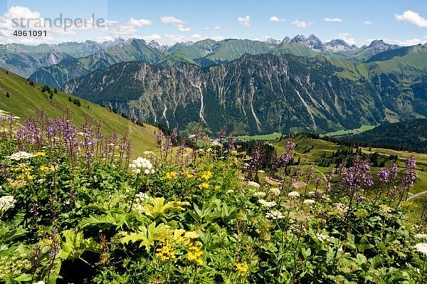 Deutschland  Bayern  Schlappoltkopf  Blick auf die Allgäuer Alpen