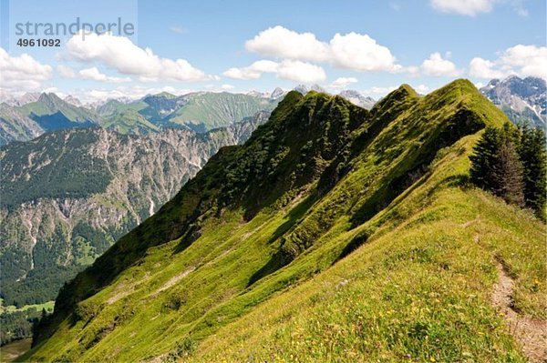 Deutschland  Bayern  Schlappoltkopf  Blick auf die Allgäuer Alpen