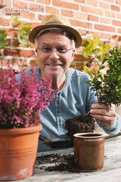 Älterer Mann bei der Blumenzucht
