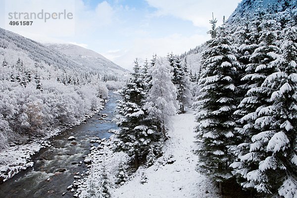 Ansicht von Stream und Schnee bedeckt Bäume  Stordal  Norwegen.
