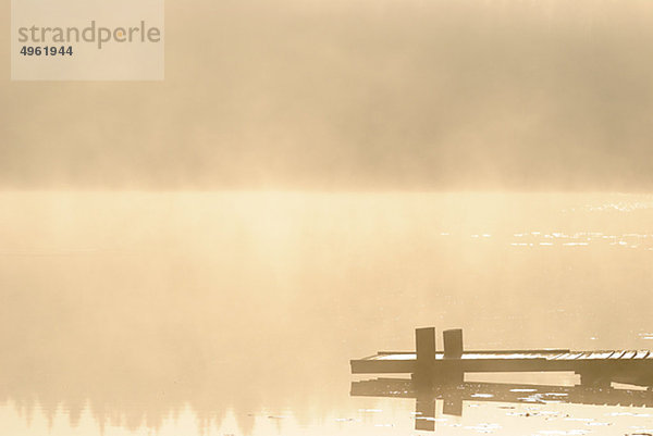 Morgen Nebel