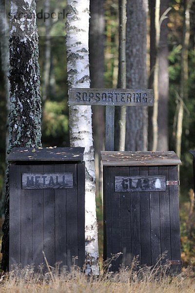 zwischen inmitten mitten Baum Recycling Wald Baumstamm Stamm