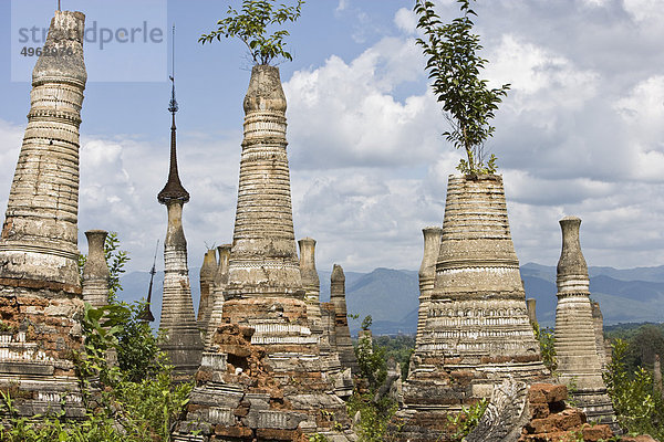 Alter Stupas-Komplex von Shwe Inn Thein  Inle Lake  Myanmar