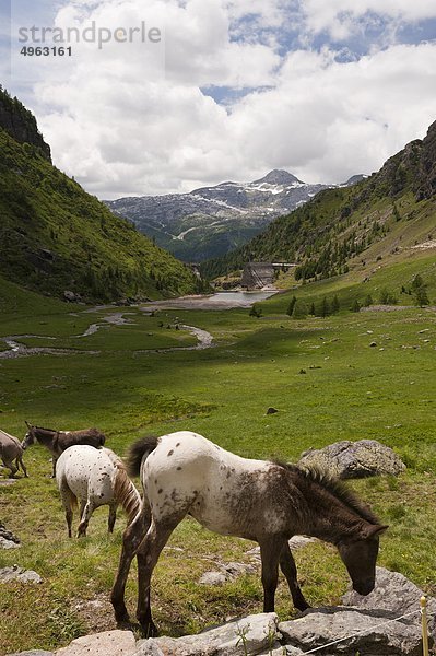 Italien Lombardei