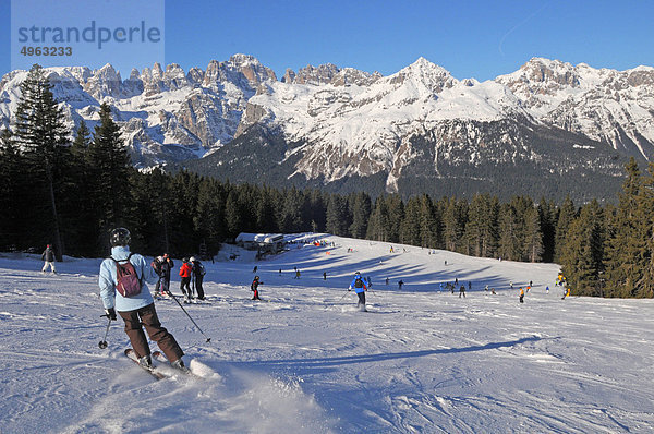 Andalo  Trentino Alto Adige  Italien