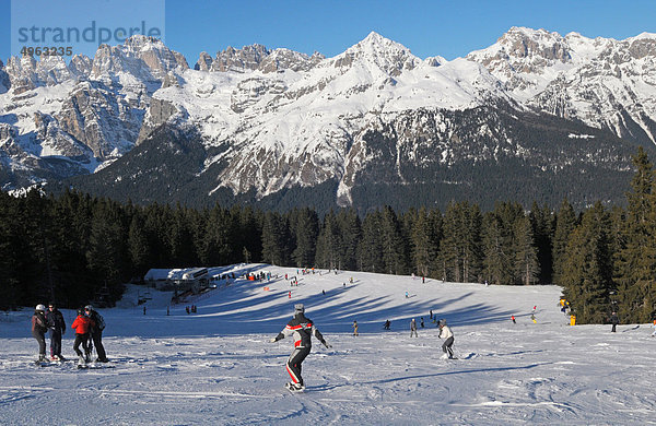 Andalo  Trentino Alto Adige  Italien