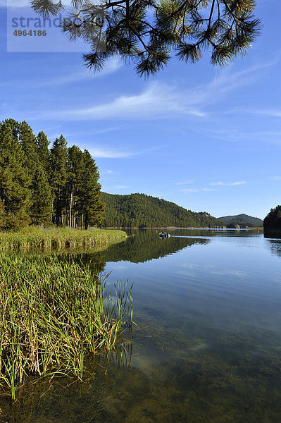 USA  South Dakota  Black Hills National Forest  Sheridan Lake