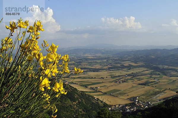 Blume Italien Umbrien