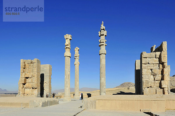 Iran  Shiraz  Persepolis  Ruinen