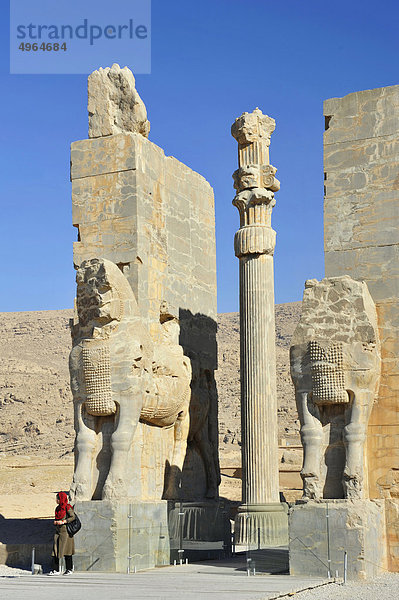 Iran  Shiraz  Persepolis  Ruinen  Statue