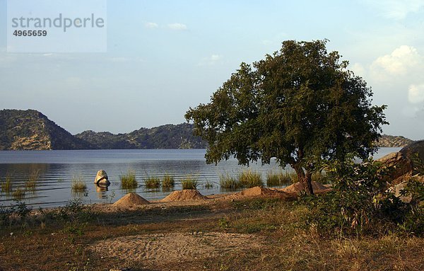 Afrika  Kamerun  Garoua  Lagdo-See