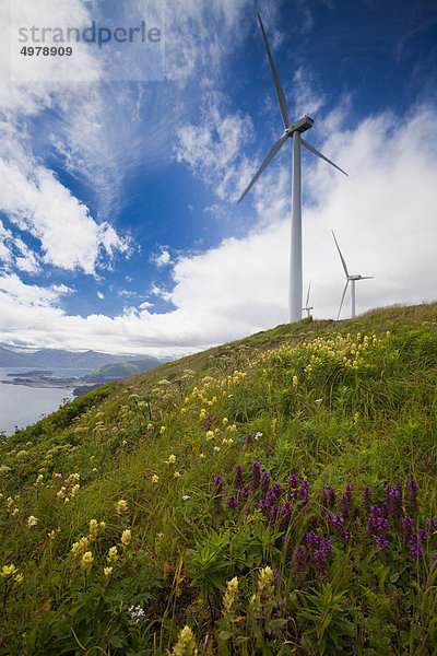 Windturbine Windrad Windräder Berg Planung Sommer Wind Säule Insel