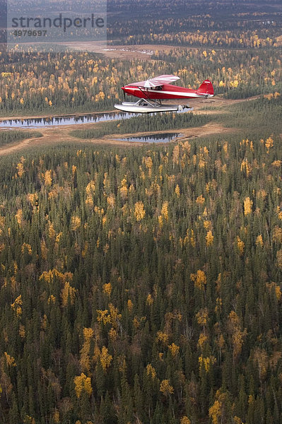 Eine rote Wasserflugzeug über Kenai National Wildlife Refuge  South Central Alaska  Herbst