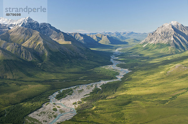 Reservat  arktische Alaska  Sommer