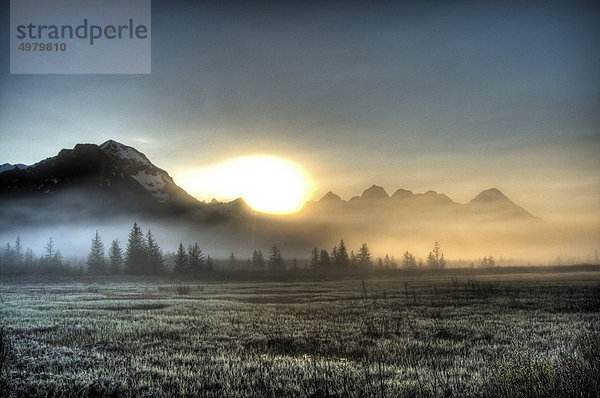 Morgennebel hängt auf dem Boden in der Nähe der Autobahn Copper River als die Sonne aufgehen über der Chugach Mountains  Chugach National Forest  South Central Alaska  Frühling. ID3