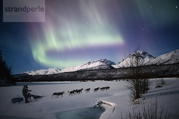 Szenische Ansicht der Dog mushing Team auf dem Matanuska River mit Northern Lights Overhead  Matanuska-Susitna Valley  South Central Alaska  Winter. COMPOSITE