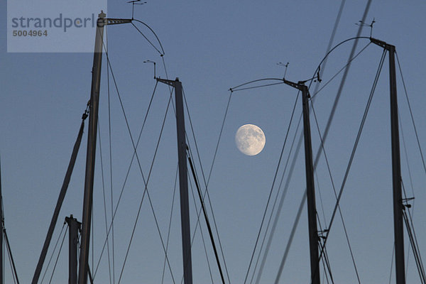 Die Masten der Segelboote  Morgendämmerung  Mond im Hintergrund