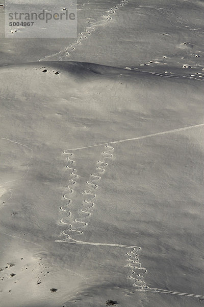 Skipisten auf der Piste