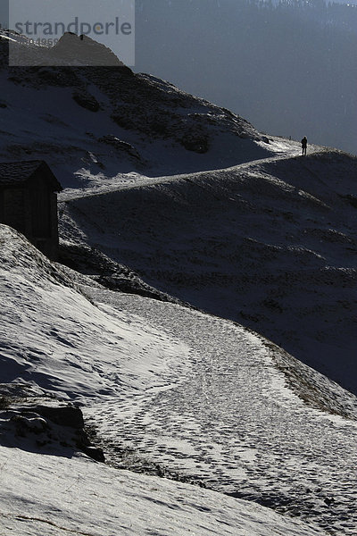 Ein Wanderer  Kanton Graubünden  Schweiz