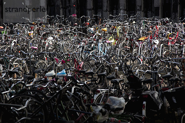 Eine große Gruppe von geparkten Fahrrädern