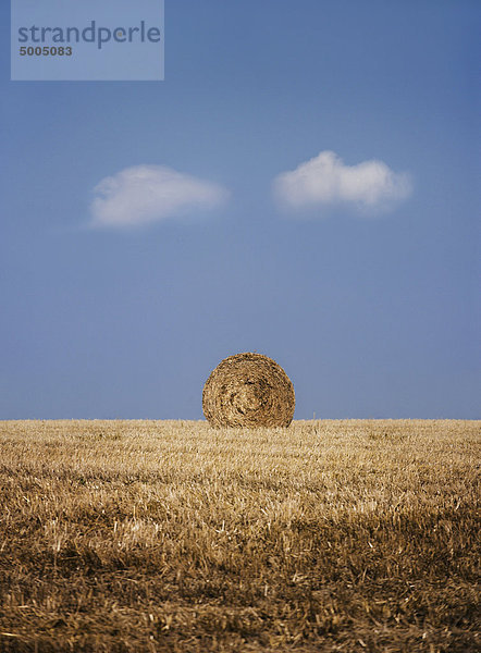 Ein Heuballen auf einem Feld