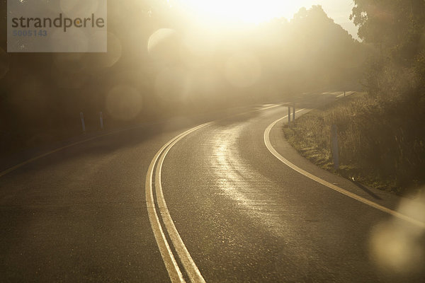 Sonnenlicht über einer Kurve in einer Landstraße