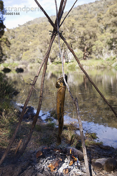 Ein Fisch  der über einem Lagerfeuer am Fluss kocht