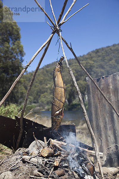 Ein Fisch beim Kochen am Lagerfeuer