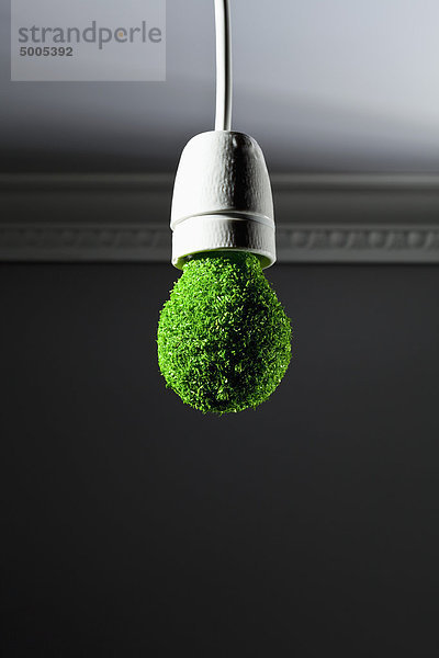 Energiesparlampe mit Gras bedeckt und von der Decke hängend