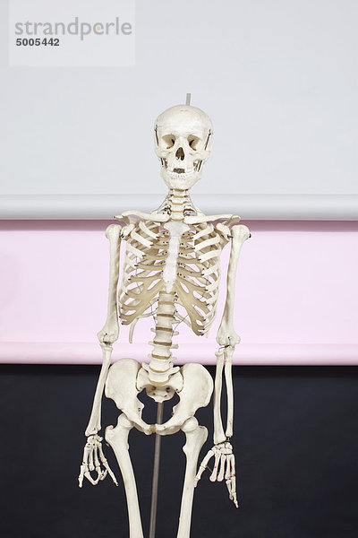 Fröhliches Skelett