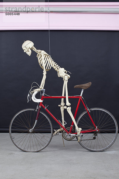Skelett auf einem Fahrrad.