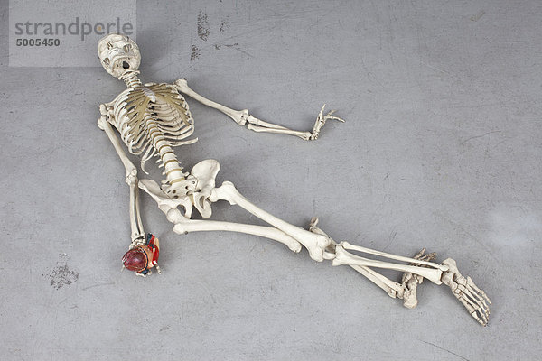 Ein Skelett in der Todespose.