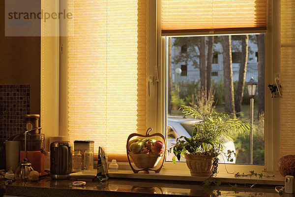 Eine heimische Küchenzeile und Fenster  Stilleben