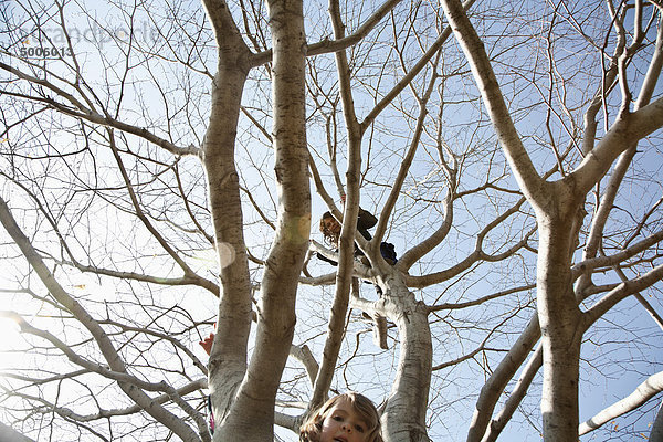 Zwei junge Mädchen klettern auf einen Baum
